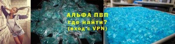 крисы Абаза