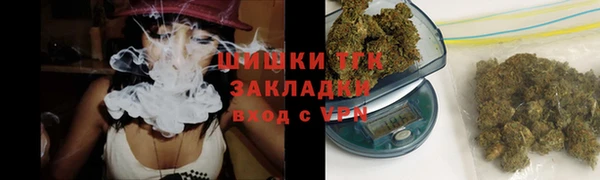 крисы Абаза