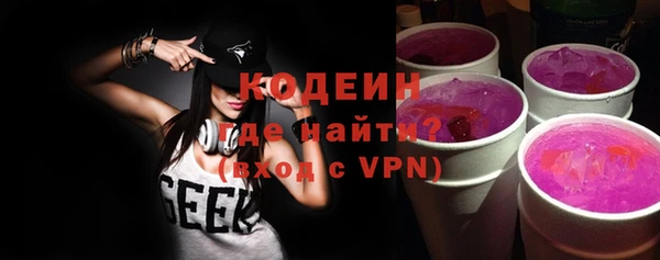 крисы Абаза