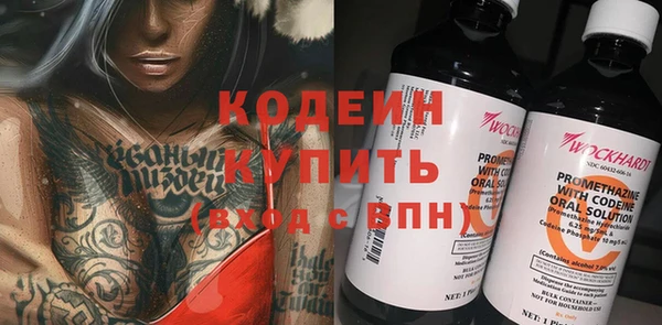 крисы Абаза