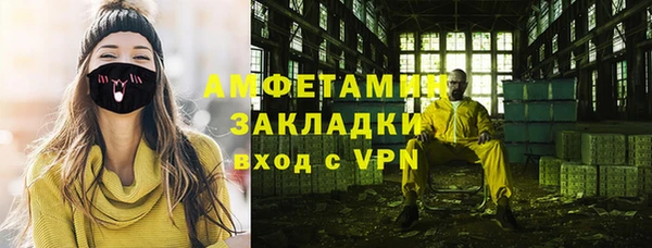 крисы Абаза