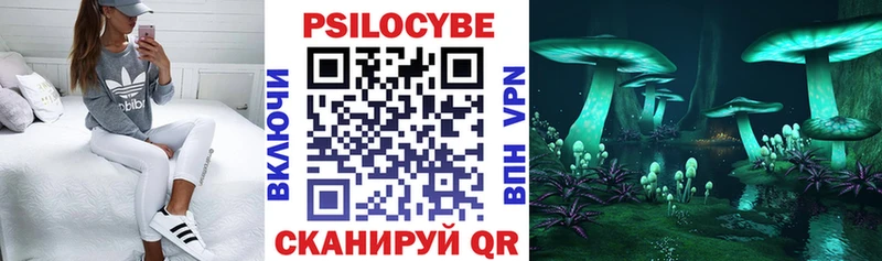Галлюциногенные грибы Cubensis  Староминская 