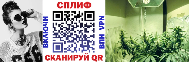 Бошки Шишки план  где найти   маркетплейс телеграм  Староминская 